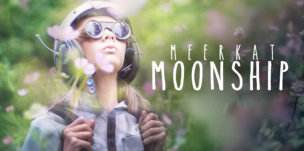 Meerkat Moonship (2017)