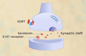Treating Anxiety: Seeking Treatment: Medication