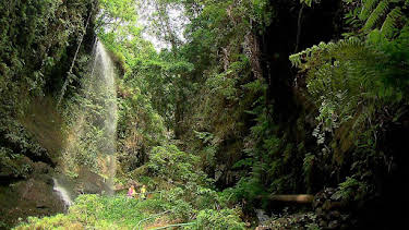 13:00: El Escarabajo Verde Escarabajo Verde | LA 2 | 3/29 2026