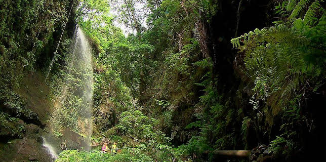 11:20: El Escarabajo Verde | LA 2 | 10/31 2025