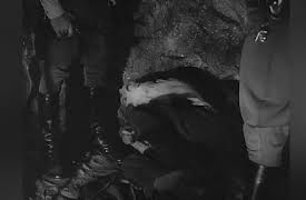 The Adventures of Superman Season 1: The Monkey Mystery