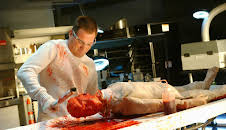 CSI: Den Tätern auf der Spur