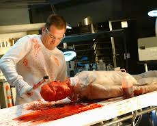 CSI: Den Tätern auf der Spur