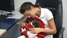 Die Tierärzte - Retter mit Herz (37)