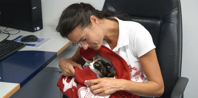 10:20: Die Tierärzte - Retter mit Herz (37) | WDR Fernsehen | 3/3 2026