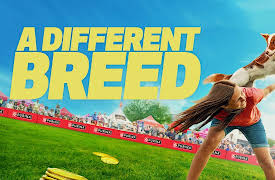 A Different Breed S1: Putting on a Show