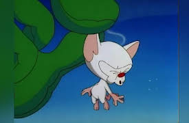 Steven Spielberg Presents Pinky and the Brain: The Complete First Volume: Tokyo Grows/That Smarts/Brainstem