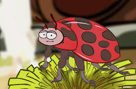 I'm a Creepy Crawly: Ladybird