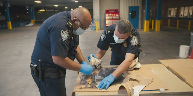 12:05: Border Patrol USA - Einsatz an Mexikos Grenze | ProSieben Maxx | 1/26 2026