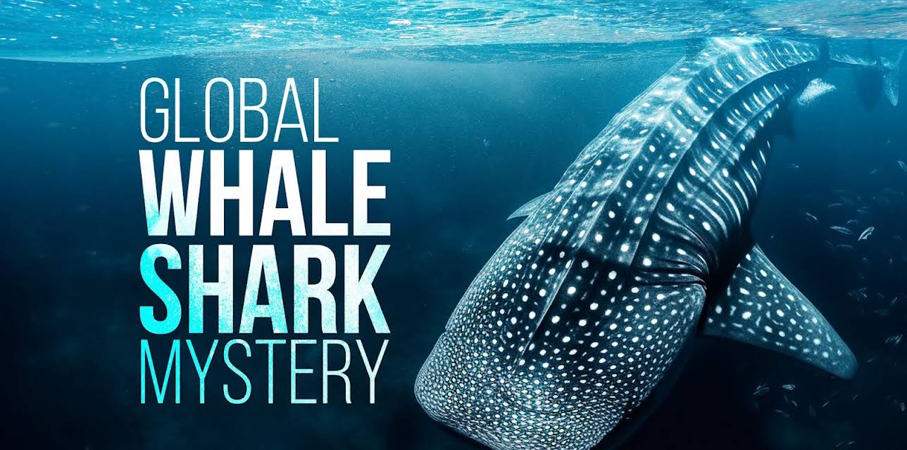 The Global Whale Shark Mystery (2026)