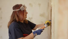 Renovation Nation