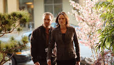 CSI: Den Tätern auf der Spur