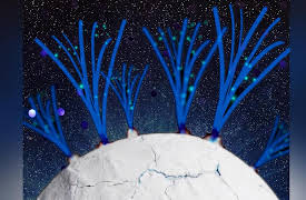 Space Crafts: Could Ice Volcanoes Harbor Alien Life?