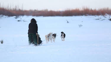 3:00 PM: The Last Alaskans (S4) | Discovery Channel | 9/5 2026