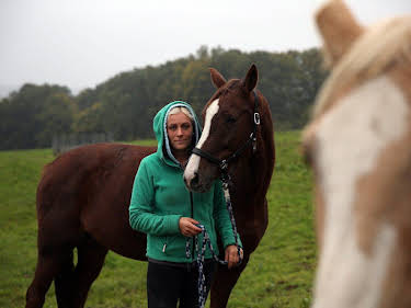 22:15: Praxis Dr. Dreesen - Ein Hof für Tiere | Sat1 Gold | 4/30 2026