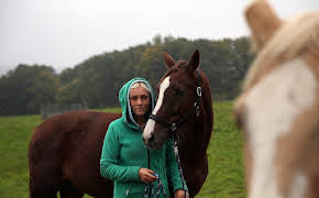 Praxis Dr. Dreesen - Ein Hof für Tiere