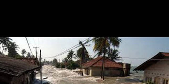 00:35: Tsunami: La carrera contra el tiempo: Noticias de última hora | National Geographic | 12/14 2025