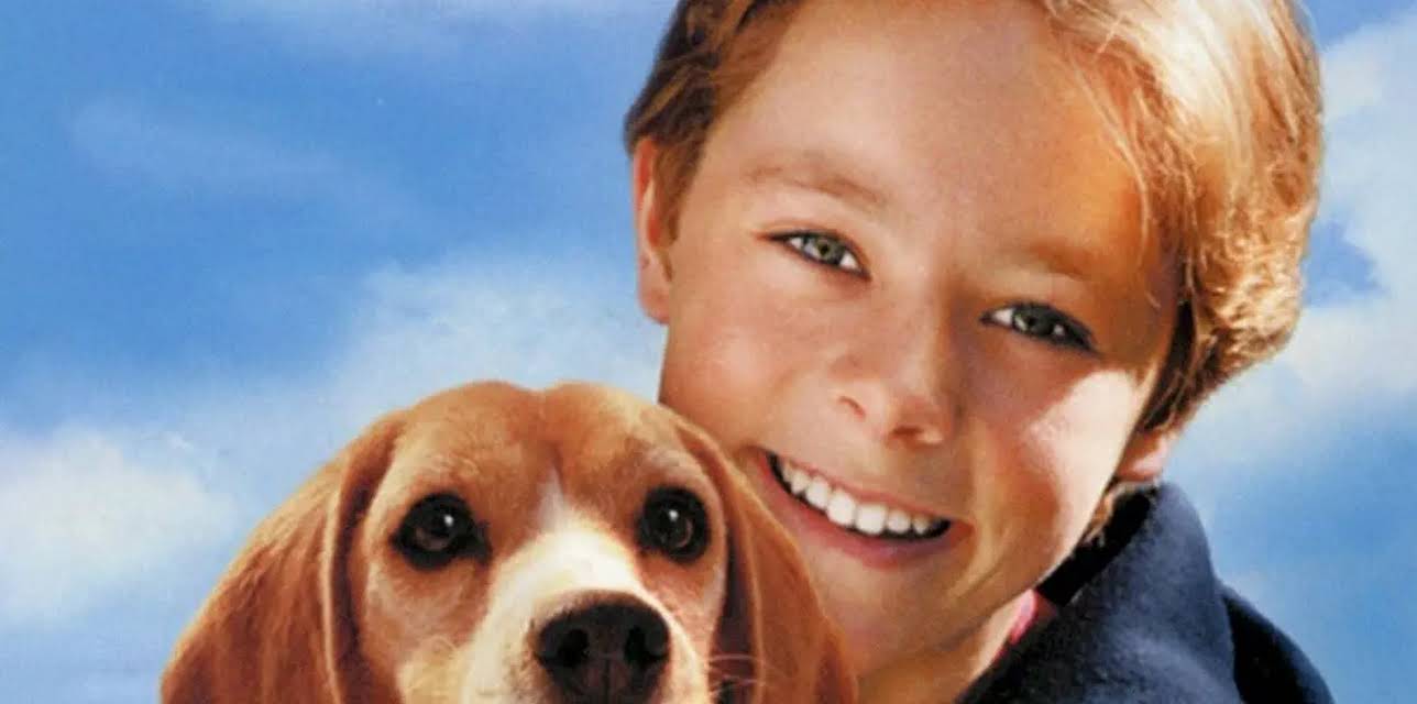 Shiloh 2: Shiloh Season (1999)