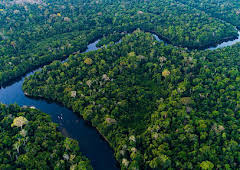 Earth's Great Rivers
