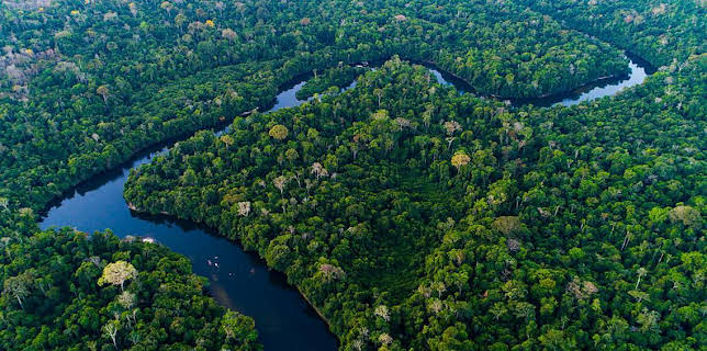 5:00 PM: Earth's Great Rivers (S1) | BBC Two | 3/15 2026