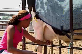 Shaunie's Home Court 1: Farming