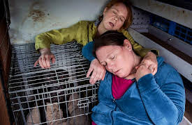 Puppy Love: Episode 5