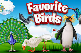 Job Jams Countdown: Top 10 Birds