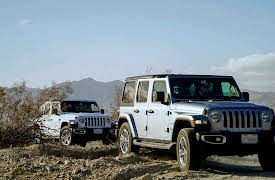 Auto/Biography: Cold Cases: The Disappearance of Erma Alvarado