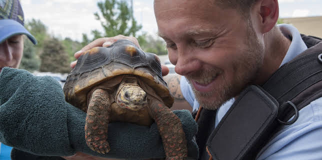 08:30: Dyrlegen i Rocky Mountain (S4 E13) (S4) | Animal Planet | 2/4 2026