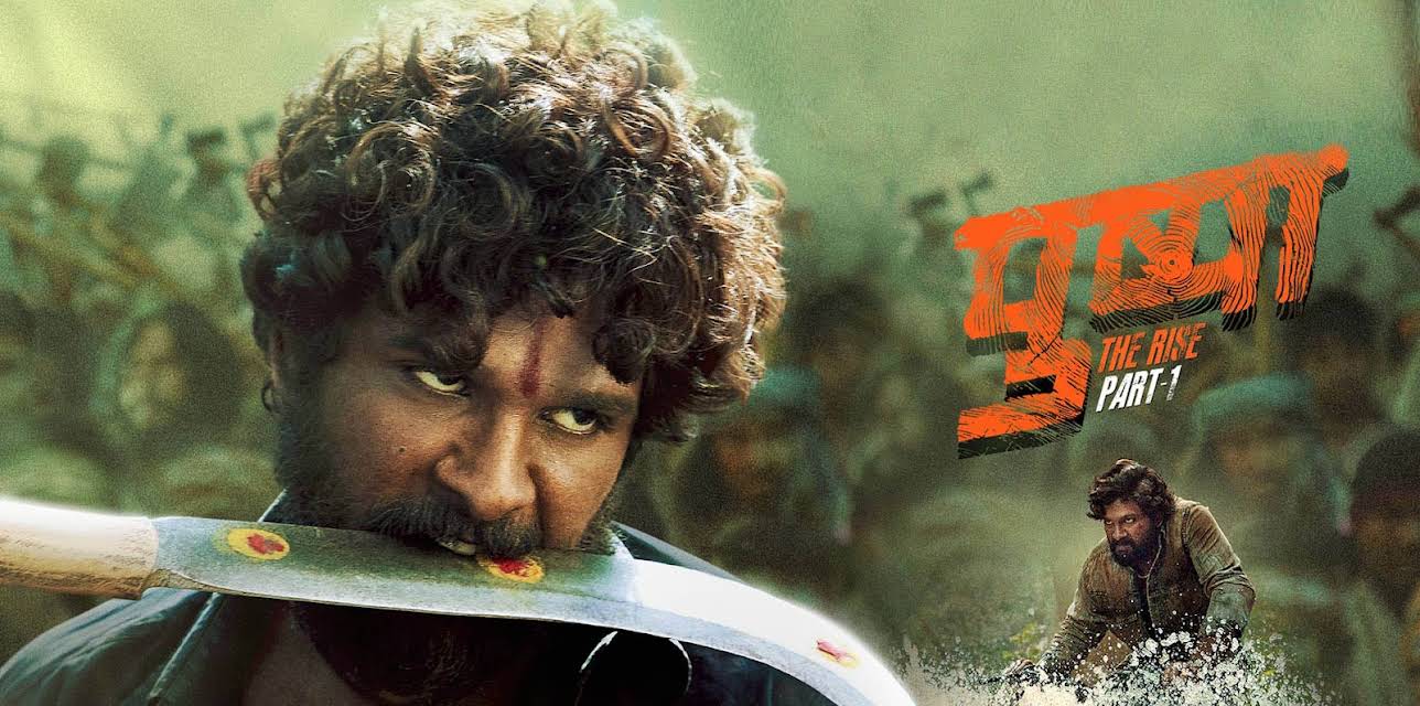 Pushpa: The Rise (Hindi) (2022)