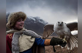 Season 1: The Gyrfalcon