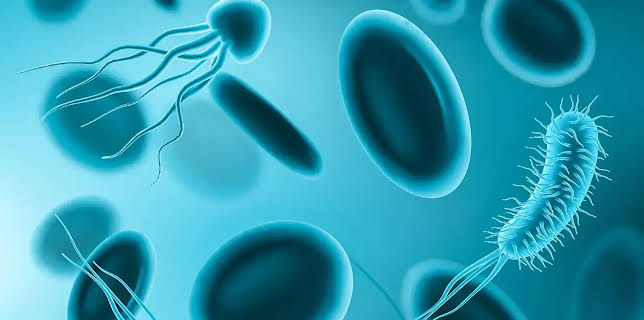 06:10: Beherrscht uns das Mikrobiom? | NDR Fernsehen | 11/22 2025