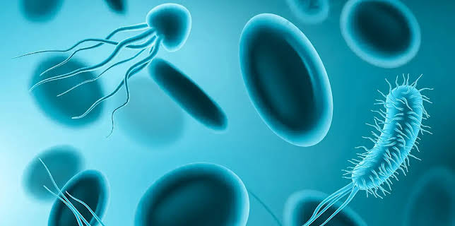 Beherrscht uns das Mikrobiom?