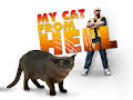 My Cat From Hell
