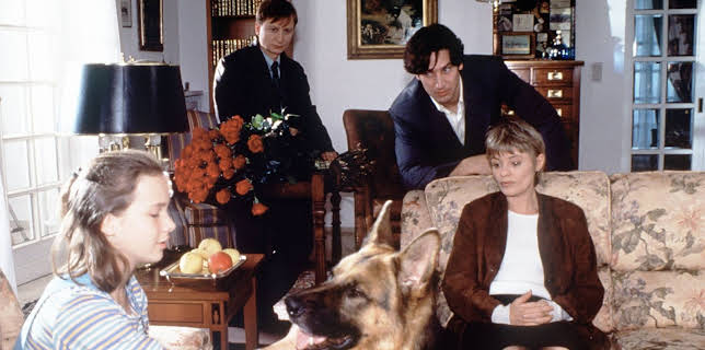 17:30: Kommissar Rex | Sat1 Gold | 12/24 2025