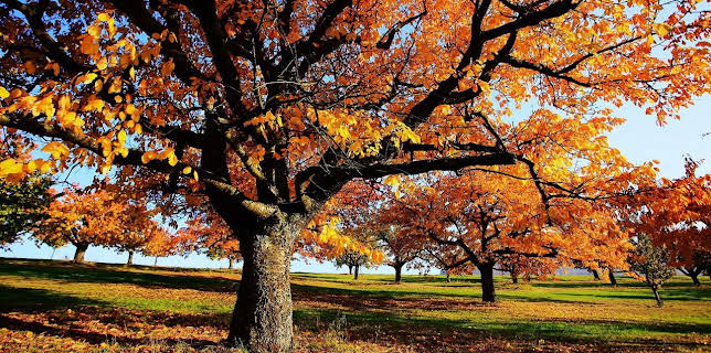21:02: Die zauberhaften Vier | Tagesschau 24 | 11/30 2025