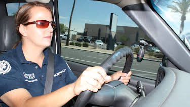 12:15: Animal Cops Phoenix (S15 E14) (S15) | Animal Planet | 2/18 2026