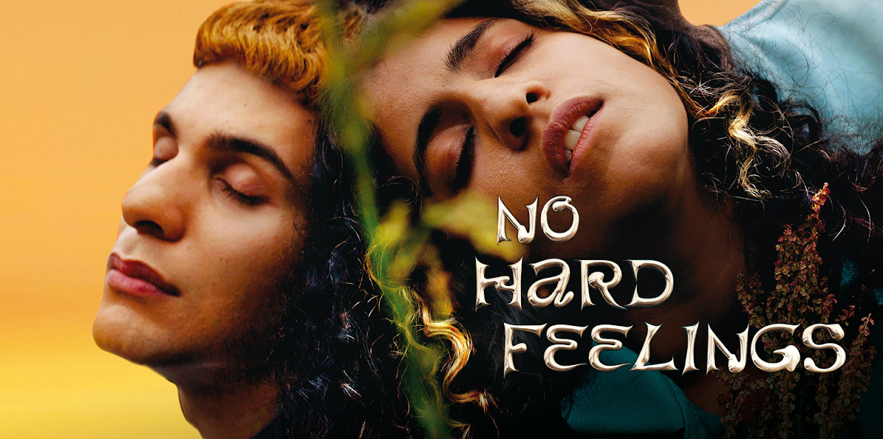 No Hard Feelings (2020)