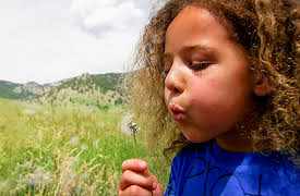 Saving My Tomorrow, Season 1: Kids Who Love the Earth