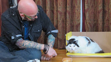 17:00: My Cat From Hell (S6 E5) (S6) | Animal Planet | 2/13 2026