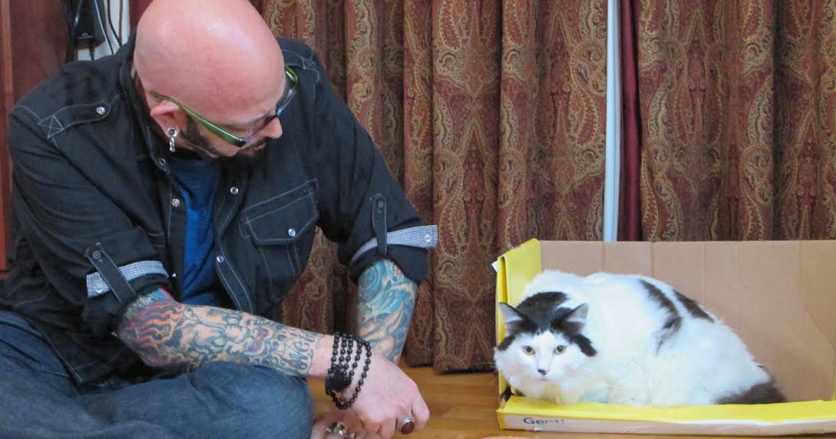 28/10 17:00 | My Cat From Hell på Animal Planet