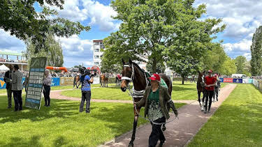 19:40: Re: Das gefährlichste Pferderennen des Kontinents | Arte | 4/15 2026