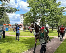 Re: Das gefährlichste Pferderennen des Kontinents