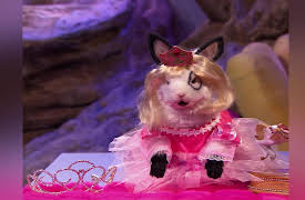 The Thundermans Season 1: Pretty Little Choirs