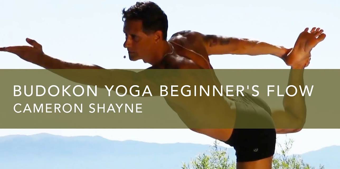 Budokon Beginning Practice