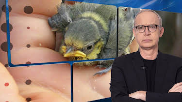 23:35: quer | Tagesschau 24 | 7/17 2026