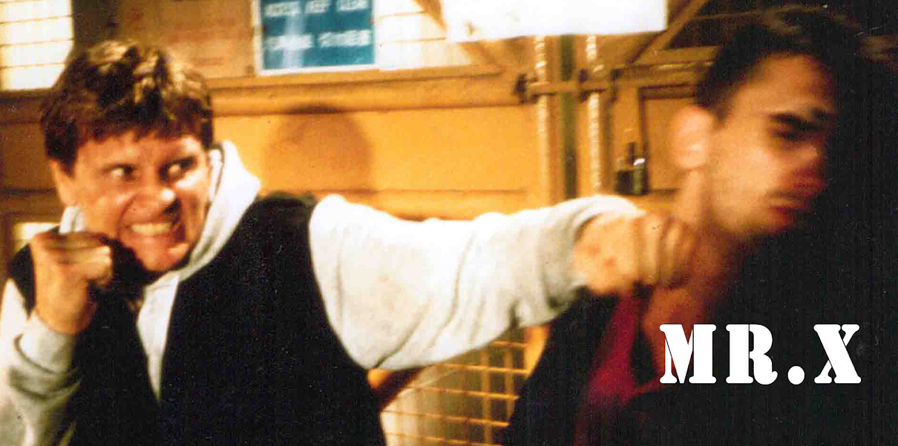Mr. X (1995)