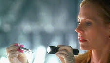 CSI: Den Tätern auf der Spur