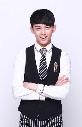 Lei Wu as 