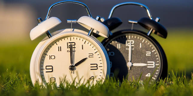 10:00: Schnittgut. Alles aus dem Garten | ARD Alpha | 3/25 2026